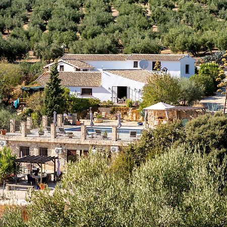 Hacienda La Buena Vida B&B En Appartementen Casita La Bruja Algarinejo Værelse billede