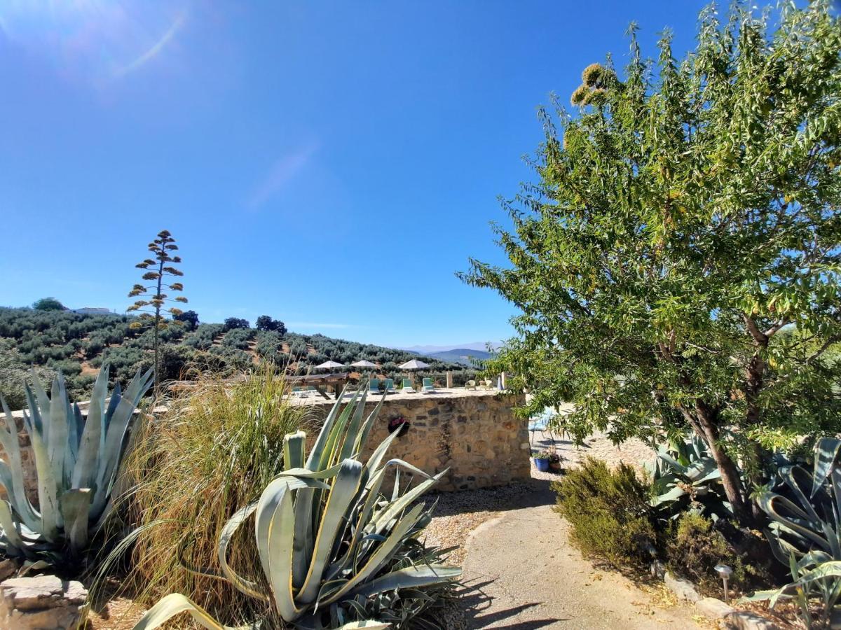 Hacienda La Buena Vida B&B En Appartementen Casita La Bruja Algarinejo Eksteriør billede