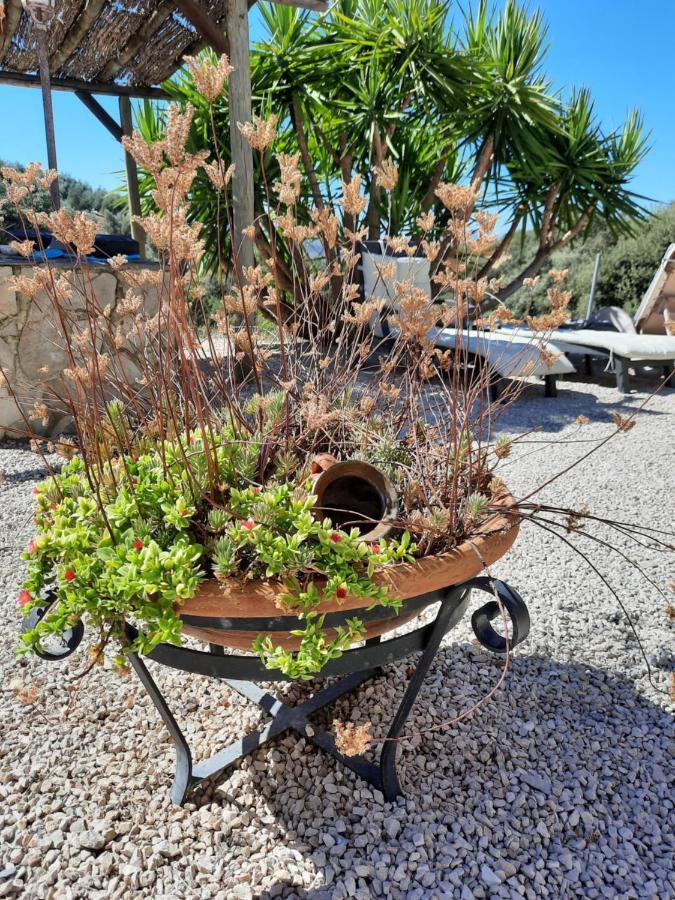 Hacienda La Buena Vida B&B En Appartementen Casita La Bruja Algarinejo Eksteriør billede