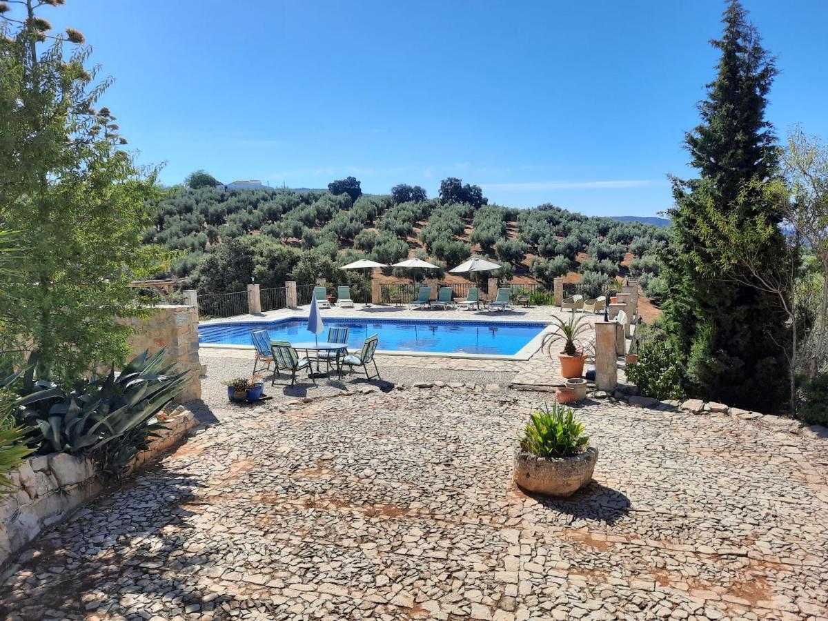 Hacienda La Buena Vida B&B En Appartementen Casita La Bruja Algarinejo Eksteriør billede