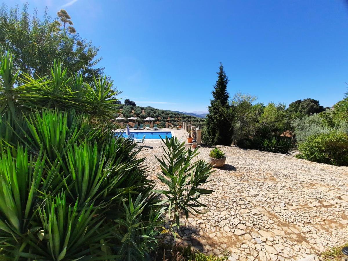 Hacienda La Buena Vida B&B En Appartementen Casita La Bruja Algarinejo Eksteriør billede