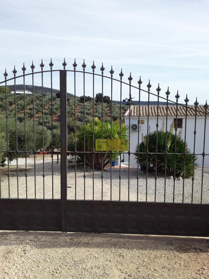 Hacienda La Buena Vida B&B En Appartementen Casita La Bruja Algarinejo Eksteriør billede