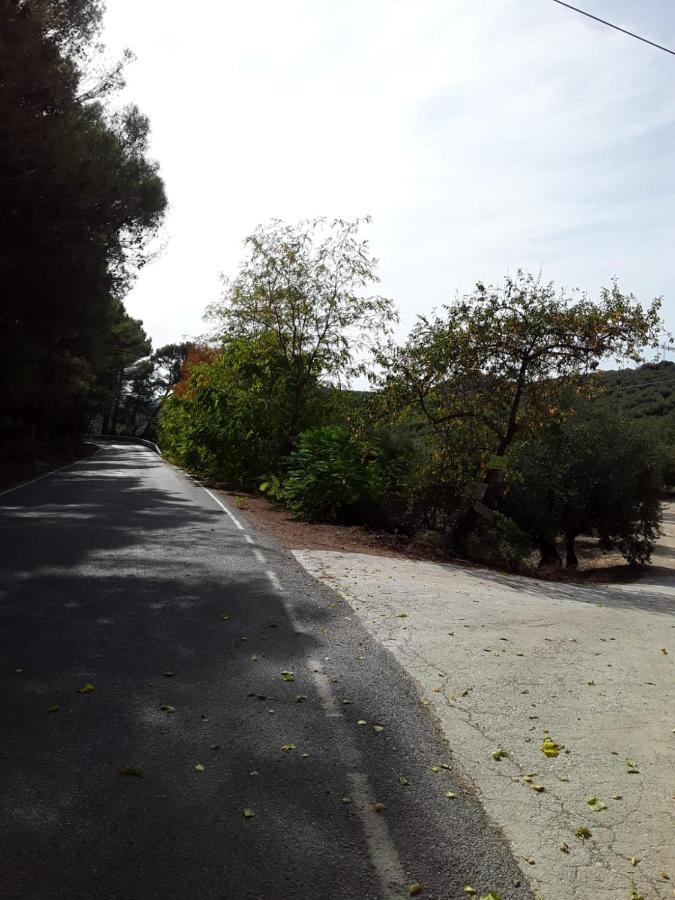 Hacienda La Buena Vida B&B En Appartementen Casita La Bruja Algarinejo Eksteriør billede