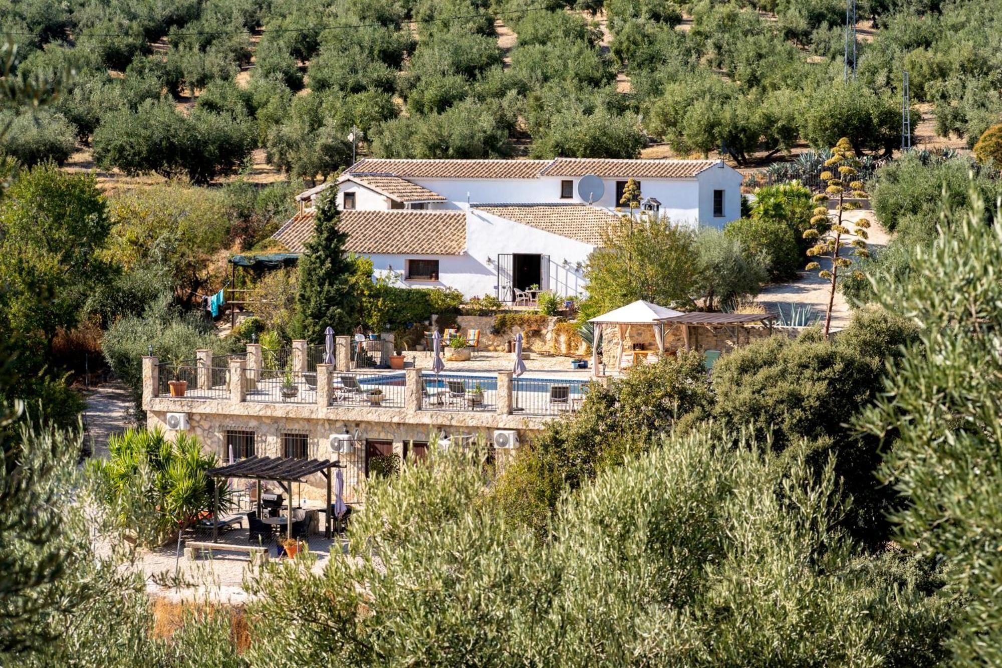 Hacienda La Buena Vida B&B En Appartementen Casita La Bruja Algarinejo Værelse billede